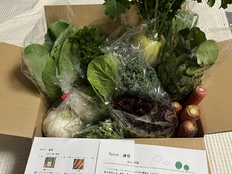 ≪畑をぐるっと収穫≫旬彩野菜バスケット＊80サイズ　7〜8品