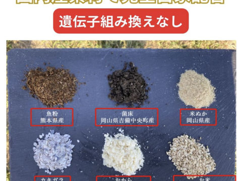 完全自家配合！とれたて平飼い有精卵 48個、全て国産・抗生物質・添加物不使用。大自然の恵みをそのまま提供