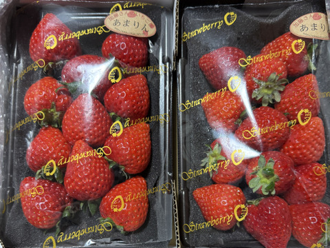 あまりん 7粒～15粒‼️