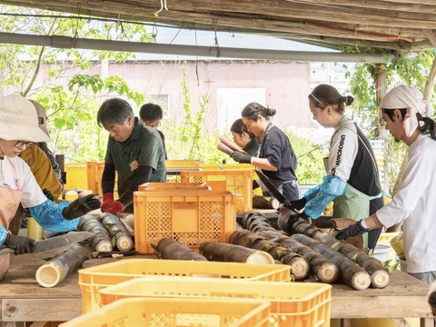 話題の国産メンマ！竹次郎の無限めんま醤油100g× 4p