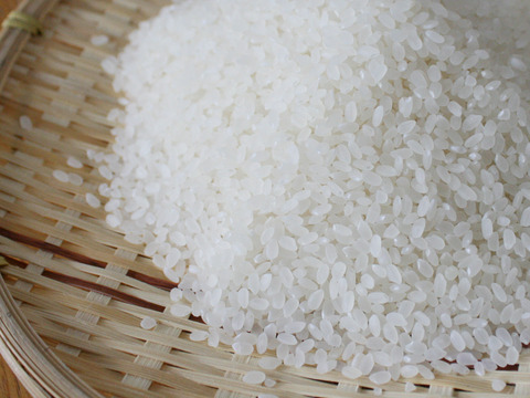 【令和７年新米】　新潟県産コシヒカリ　精米２㎏