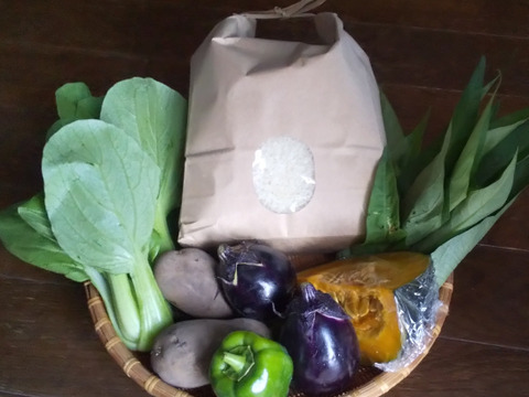 清流育ちのおいしいコシヒカリ