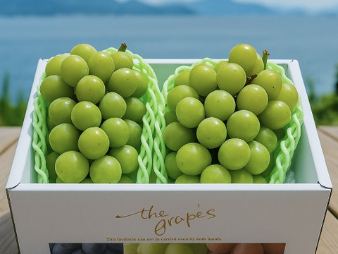 翠の饗宴 岡山育ちシャインマスカット二房セット：岡山県産のシャイン