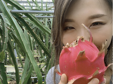 【赤・白】食べ比べセット　紅白セット群馬県産ドラゴンフルーツ２キロ