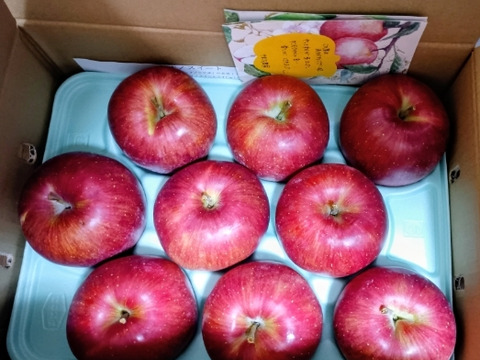 【今が旬】甘さジュワワワァ！(º﹃º`)シナノスイート（3kg）