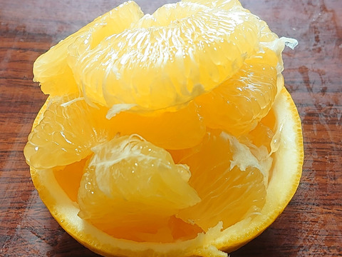 今が旬！　この時期一番美味しい商品【自然栽培】 河内晩柑(河内町産）（4.5K）