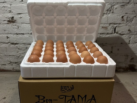 【採れたて新鮮たまご】平飼い養鶏卵『Bon-TAMA』M~Lサイズ・30個入り