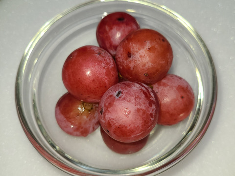 🆘雹被害の為傷多め訳有り粒ご家庭用
訳アリ粒パック🍃クイーンニーナ粒
　　【450g程度粒２Ｐ/約900g位】
　　　再追加◆数量限定販売中