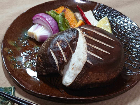 【母の日ギフト】最高級ランク　徳島県産特級天恵菇2~3枚入り　化粧箱　熨斗対応可【メッセージカード付き】