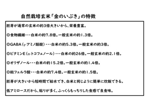 【５％OFF！】【令和６年産】自然栽培「金のいぶき」玄米　５ｋｇ　＋　高オレイン酸大豆１ｋｇ