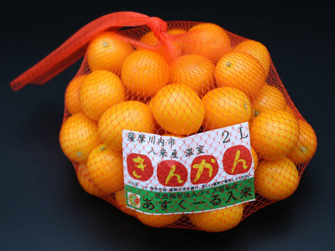 生でガブっと完熟ハウスきんかん2L(1kg)