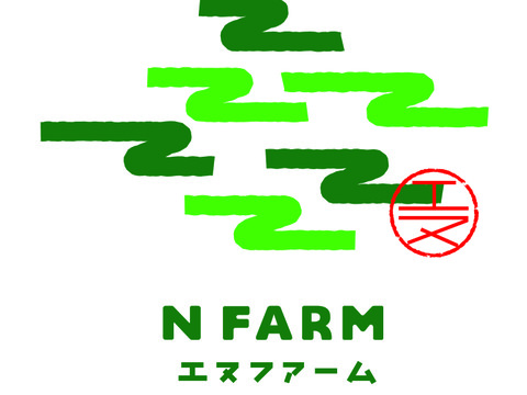 【五感を刺激する辛味】採れたて生青唐辛子　1kg