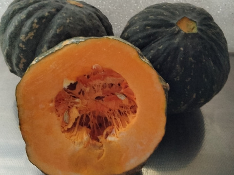 肉厚ホクホク兵庫産 かぼちゃ2個   2500ｇ
