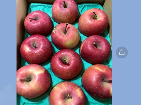 個性派りんご🍎葉隠れサンふじ  冬ギフトにもどうぞ（9個～12個）3キロ箱使用