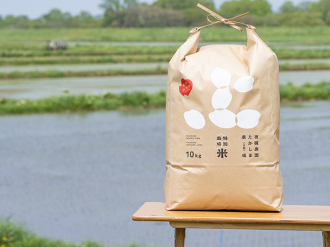 【お米番付優秀賞農家】 特別栽培米ゆめぴりか玄米10kg （10kg×1袋）