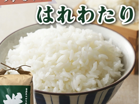 青森県産米　はれわたり5㎏　玄米or白米　令和７年産