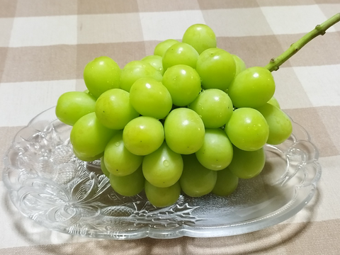 甘々シャインマスカット2房1.2kg★8月発送【お徳用】岡山県産◎農家直送