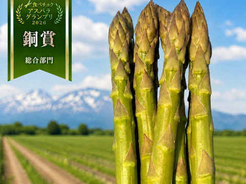 【受賞記念特別価格🎊】【やや太め500g】那須塩原産アスパラ｜じゅわっと感じる奥深い甘み！｜Lサイズ｜特別価格は5/20まで！