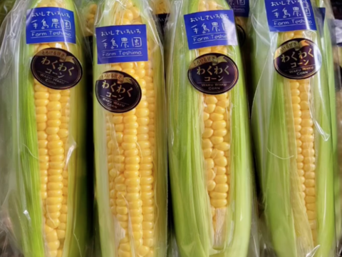 【旬の上州野菜】お試しサイズ（3~5品目）梱包まで丁寧に