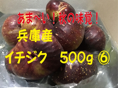農薬不使用栽培　兵庫産 ご家庭用　あま～い！イチジク　500ｇ⑥