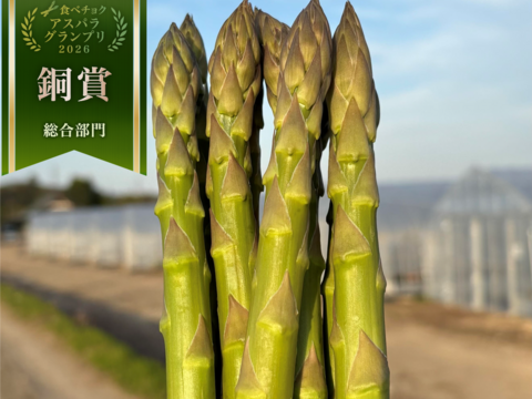 【受賞記念&登録記念SELE🎊】Mサイズのみ｜1.0kg｜那須塩原産アスパラガス｜朝採れ｜じゅわっと春のごちそう