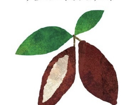 【福袋2025】削り苺６種