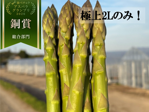 【受賞記念&登録記念SELE🎊】極太(A2L)のみ｜1.0kg｜那須塩原産アスパラガス｜朝採れ｜じゅわっと春を感じる