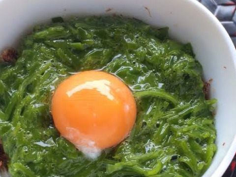 うまネバ！【産地直送】きざみめかぶ200ｇパック5本 伊勢志摩産　鳥羽市の離島・菅島沿岸で収穫！　人気のおみやげ