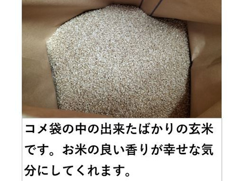 玄米　あきたこまち　25キロ 秋田のあきたこまち＜玄米＞（約25kg）【令和6年度産】：秋田県