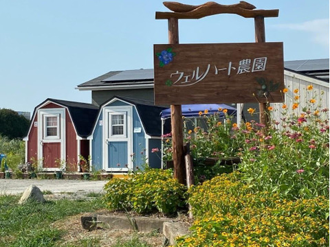 【皮ごと安心！】男爵じゃがいも(一口サイズ)1㎏　知多半島産