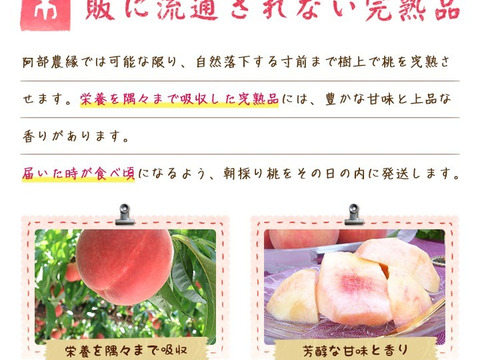 これぞ福島の桃！硬めで強い甘さと香りの完熟まどか　3ｋｇ（8～10玉）