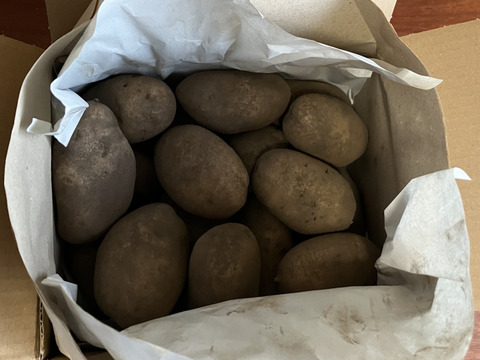 【ちょっと訳有❗】じゃがいも【ホッカイコガネ】大きさ色々　60サイズ　1.8kg　
※商品説明をご一読の上、「常温便」、「クール便」をご指定下さいませ