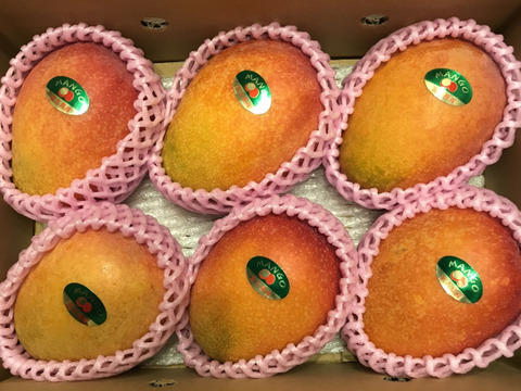 ※訳あり※宮古島産完熟マンゴー2kg 4～6玉 順次発送