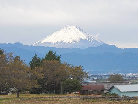 甲斐路の恵み！富士山と八ヶ岳をはじめとする広大な山々に見守られて育ったお野菜【10～12品】お届け♪