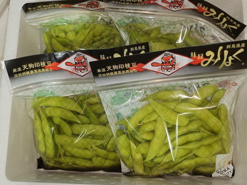枝に付く豆様 リクエスト 2点 まとめ商品 人気TVで紹介】「全国えだまめ選手権」銀賞 天狗印 みりょく ギフトに