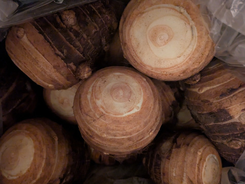 ＜うんまい！＞さといも【８ｋｇ】