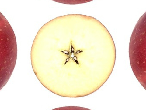 ほのか（早生ふじ）🍎家庭用約4.5Kg🍎青森県産　数量限定