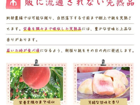 【一番人気】朝採れ完熟桃のコンポート 6本セット（加糖・無糖 食べ比べ）｜まとめ買い割引中