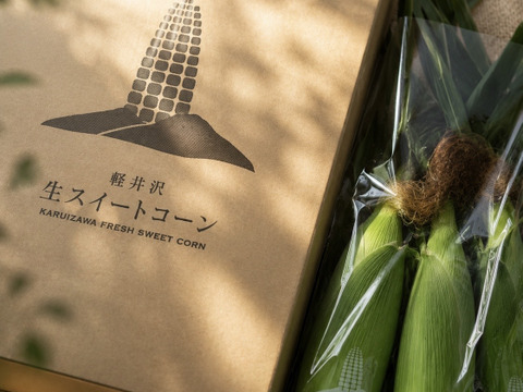 予約販売】【朝採り】軽井沢生スイートコーン 8本｜生でも甘い最高糖度