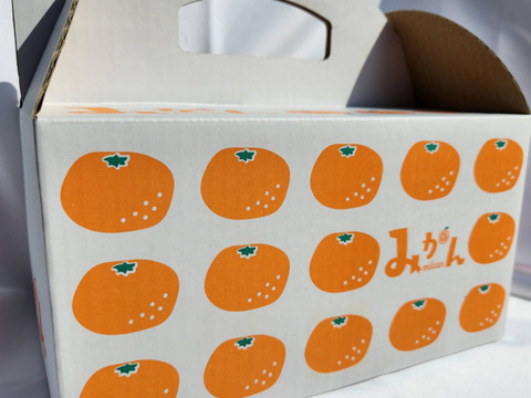 あまり流通していない】平均糖度13度以上の濃縮された早生みかん🍊甘