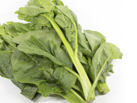 夏の健康野菜。ツルッとツルムラサキ1000g