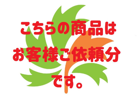 【お客様ご依頼分】モリンガパウダー30g×1袋、蒸し生姜パウダー20g×1袋