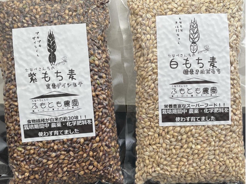 【食べ比べ】もち麦(ダイシモチ)玄麦1㎏、(きはだもち)精麦1㎏同梱セット