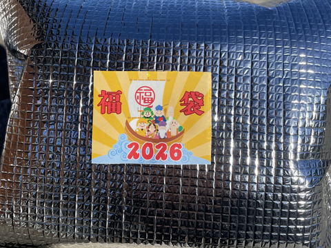 【ゲン担ぎ福袋】『あんぽ柿』約１kg (４パック）　しっとりトロッと冬の贅沢スイーツ（冷凍）