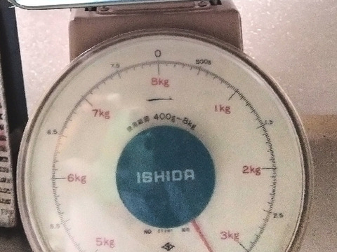 兵庫産 黄金羅王　TVで大人気　中玉スイカ1玉　ご家庭用①