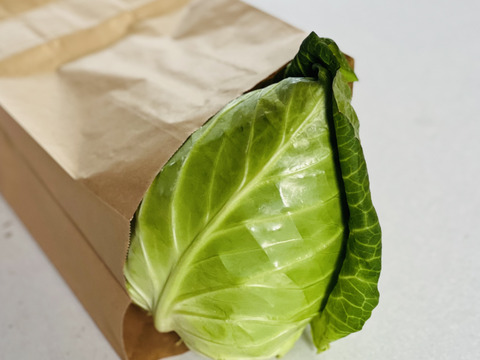 畑からの贈り物！『とんがりキャベツ』約1kg前後×2個セット