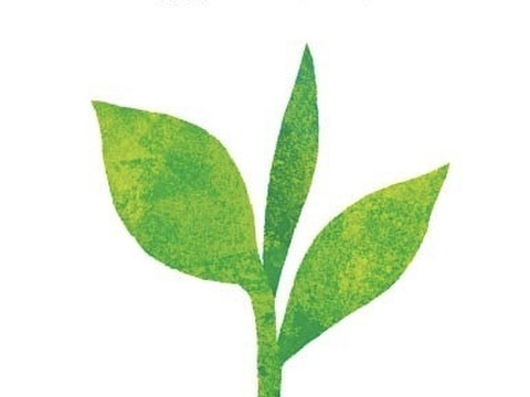 【福袋2025】削り苺６種