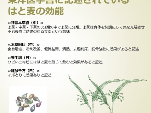 自然栽培はと麦粗挽き全粒粉