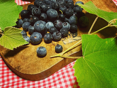 【農薬不使用】フレッシュ！収穫してすぐ発送ブルーベリー&青島みかんストレートジュースセット