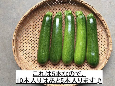 増量でお買得！ズッキーニ好きの貴方へ10本入！鮮度抜群の取れたて有機ズッキーニ！コクのある美味しさ！大きすぎず、小さすぎず！ずっしりとしたサイズ感！【有機ズッキーニ10本入】2セットまでなら送料同額！